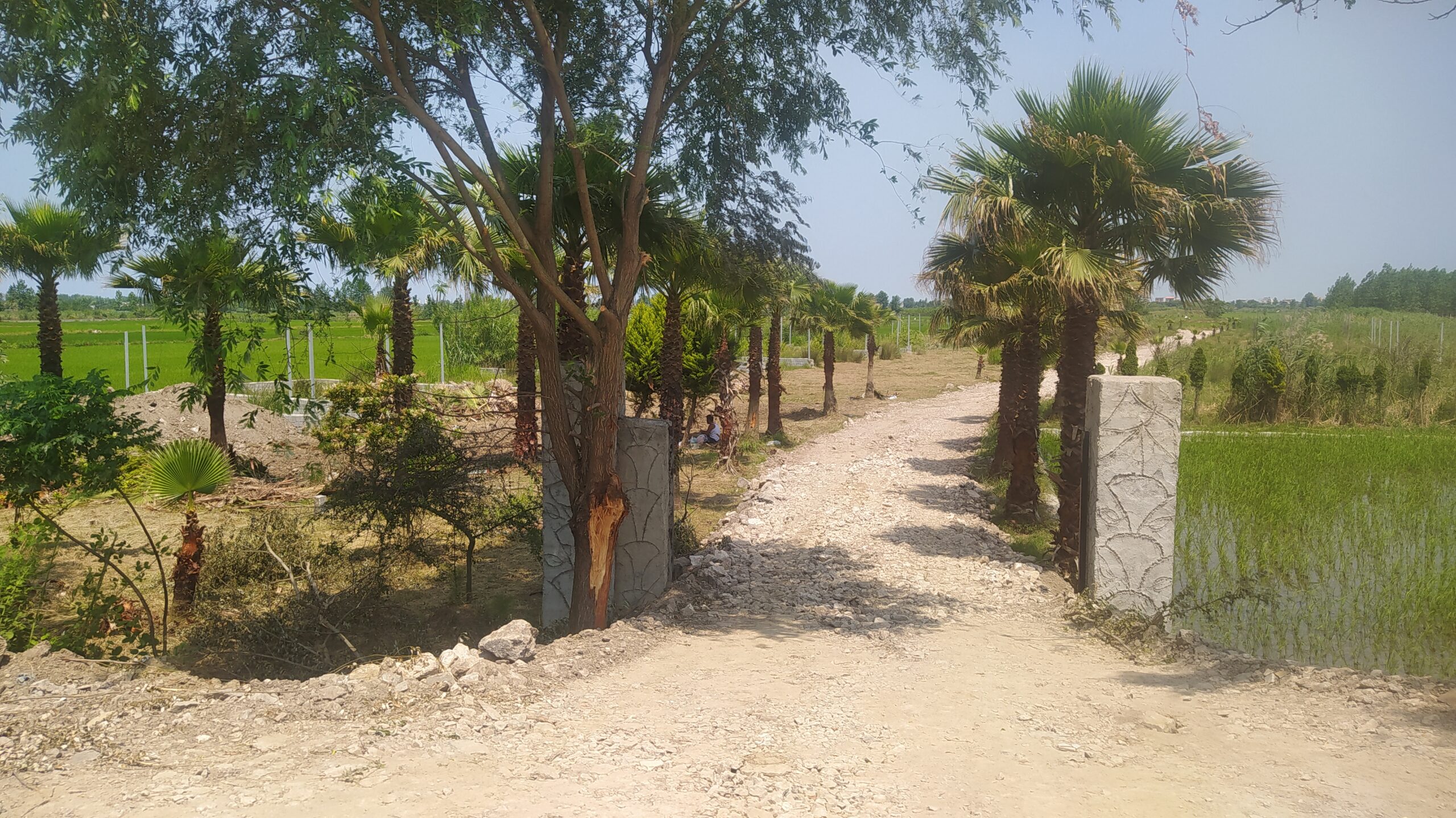 زمین جنب دریاچه