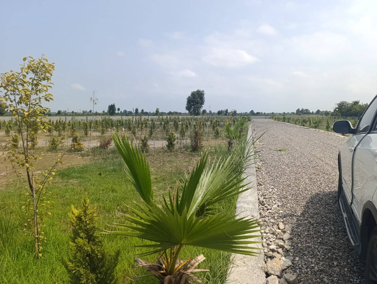 زمین تک پلاک