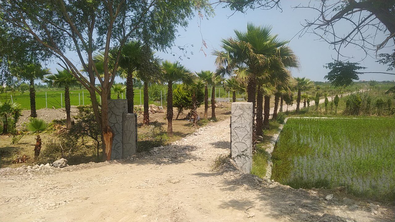 زمین ساحلی