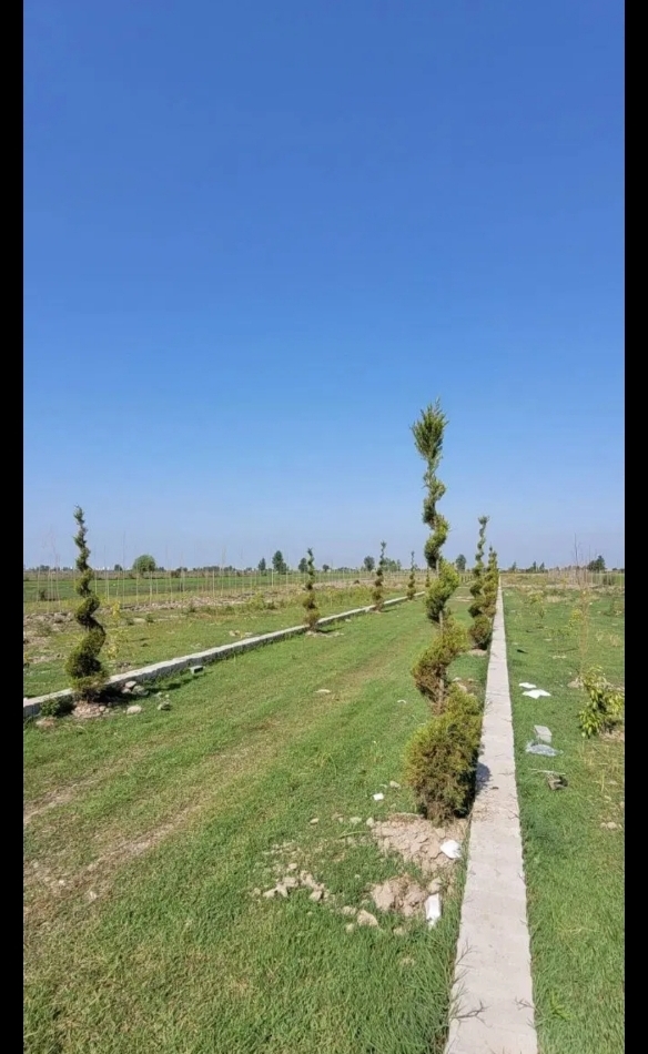 هم ساخت*هم سرمایه‌گذاری زمین